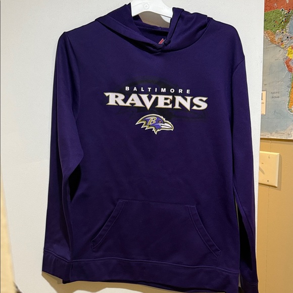Baltimore Ravens Purple Hoodie - Picture 1 of 3